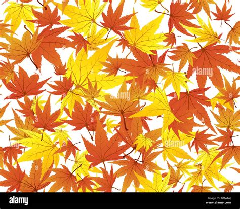 Vintage Maple Stain Hi Res Stock Photography And Images Alamy