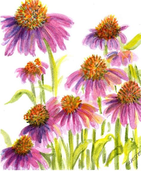 Coneflowers Watercolors Paintings Original Echinacea Purple Etsy