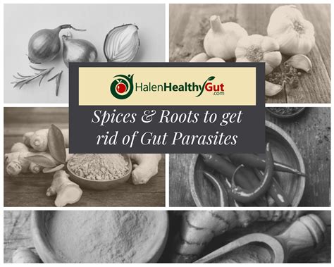 Parasite Cleanse Diet For Humans 21 Best Natural Remedies