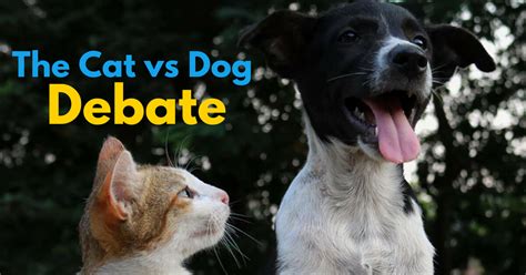 Cat Vs Dog Which Pet Would You Rather Have Uk Pets