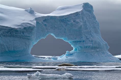 Iceberg Landscape Nature Sea Seals Wallpapers Hd Desktop And