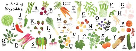 Illustrated Vegetable Alphabet By Mel Chadwick Creative Playground