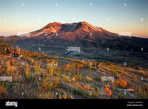 Wa22540 00washington Mount St Helens At Sunset From Johnston