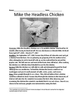 Mike The Headless Chicken Miracle Mike Lesson Facts History Questions