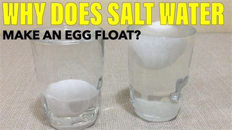 Why Does Salt Water Make An Egg Float Buoyancy Jamhomescience