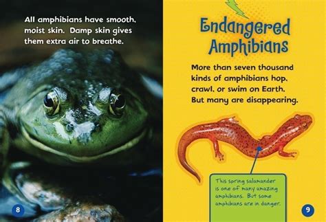 Endangered And Extinct Amphibians Lerner Publishing Group