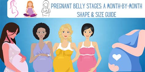 Pregnant Belly Shapes