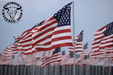 Share the best gifs now >>>. Field of Flags Honors Those Who Have Sacrificed in the Name of Freedom