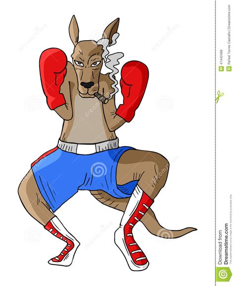 Kangaroo Boxing Stock Vector Illustration Of Rebel Jack
