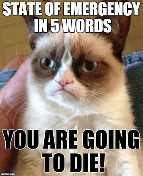Grumpy Cats State Of Emergency In 5 Words Imgflip