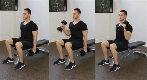 Hammer Curls While Seated A Step By Step Guide For Biceps Development