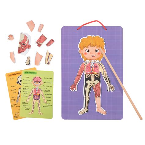 For Kids Tagged Body Chart Adventure Awaits