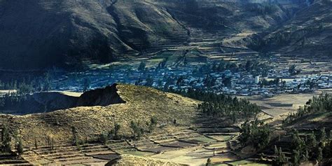 Colca Canyon Oasis Palmeras Full Day Findlocaltrips
