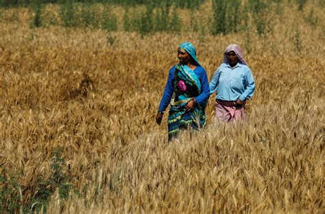 Women In Rural India