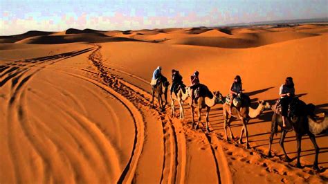 He was said to be bringing a saharan camel with him in order to greet visitors in the true desert tradition. Saharan Camel Train Oct 2012 HD LMRH - YouTube