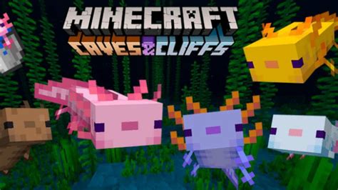 Blue Axolotl Minecraft Drawing In Our Detailed Guide Minecrafts Axolotls We Will Show You How