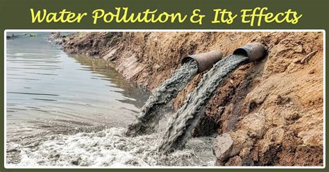 Water Pollution And Its Effects Causes And Sollutions Of It