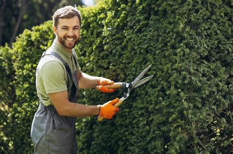 Premium Photo Garden Worker Trimming Bushes With Scissors In The Yard