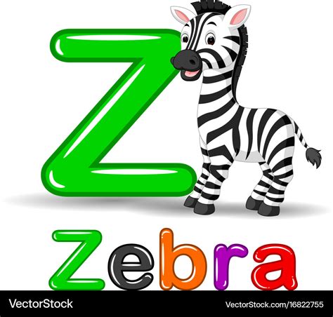 Zebra Animal And Letter Z For Kids Abc Education I