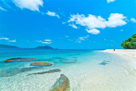 Tickets And Tours Fitzroy Island Cairns And The Tropical North Viator