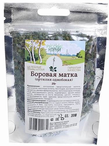 Боровая матка можно похудеть Как Выглядит Боровая Матка Трава Фото – Telegraph Как Выглядит Боровая Матка Трава Фото – Telegraph Боровая матка можно похудеть