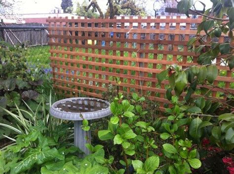 Chain link fences will never win a beauty contest, but when they are needed, no other fence type will suffice. Replacing the Reed Fencing… | Backyard fences, Fence ...