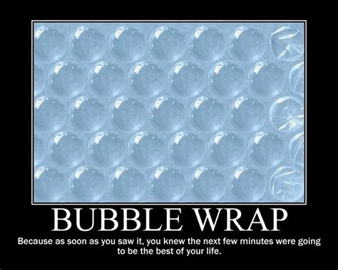 Bubble Wrap Funny Quotes Quotesgram