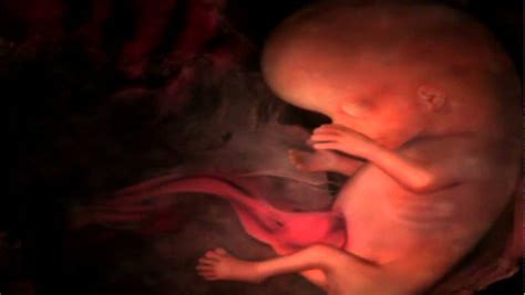 Conception To Birth Trailer Youtube