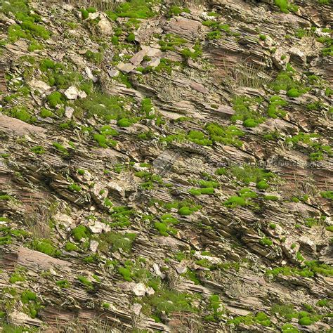 Rock Moss Texture Seamless 13169