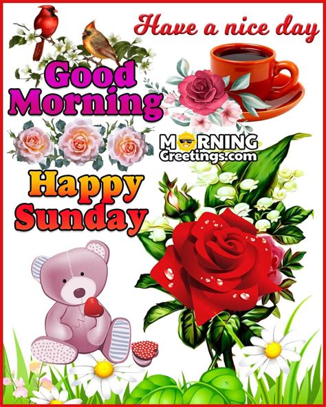 Happy Sunday Photos, Good Morning Happy Sunday, Good Morning Friends