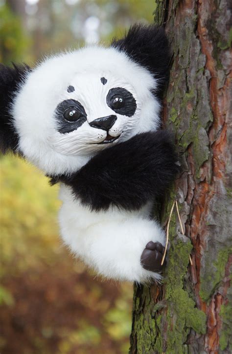 Everypixel aggregates free images from popular free image websites. Panda Pictures - Kids Search