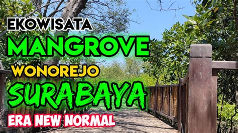 Ekowisata Mangrove Wonorejo Surabaya Di Era New Normal Youtube