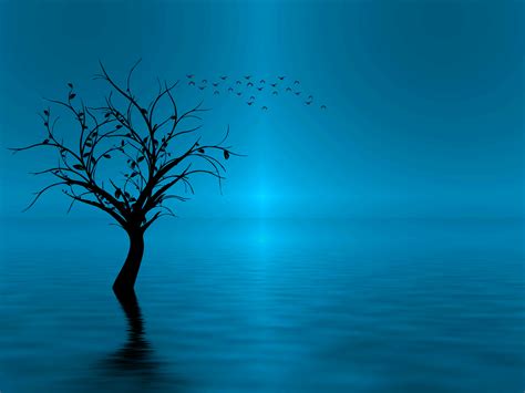 Silhouette Tree Reflected In The Water Art Id 118778