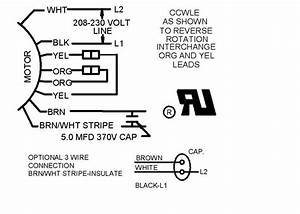 Condenser Fan Motor 3 Wire To 4 Wire Diagram