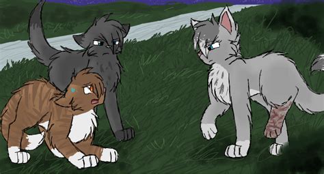 Cinderpelt Discovers The Truth By Cascadingserenity On Deviantart Warrior Cats Warrior Cats