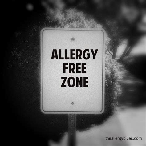 Allergy free zone! | Allergy free, Allergies, Food allergies