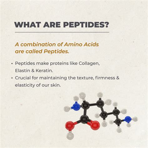 Peptides The Game Changing Ingredient For Every Skin Routine
