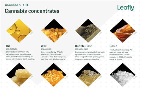 The Roll Up 153 All About Cannabis Concentrates Leafly