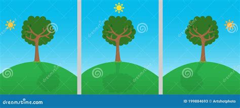 Sun And Shadows Of A Tree During The Day Stock Vector Illustration Of