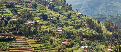 Best Time To Visit Rwanda Monthly Climate Guide By Experts