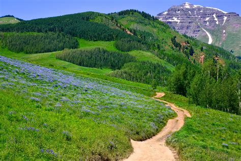 These 15 Jaw Dropping Photos Perfectly Sum Up Colorados
