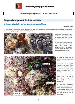 Bulletin Mycologique 35 - n°46 | Observatoire de l'environnement en ...