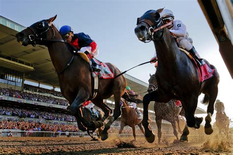 The Ultimate Guide to Horse Racing Betting