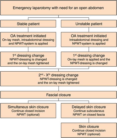 Vacuum Assisted Wound Closure And Permanent Onlay Meshmediated Fascial