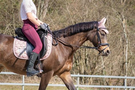Reins All About The Different Types Styles And More Insider Horse