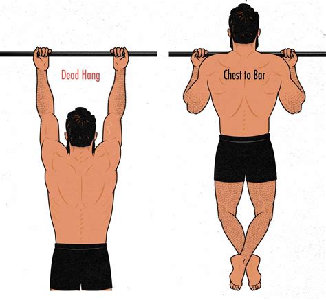Chin Ups Vs Barbell Rows For Back And Biceps Growth Alai