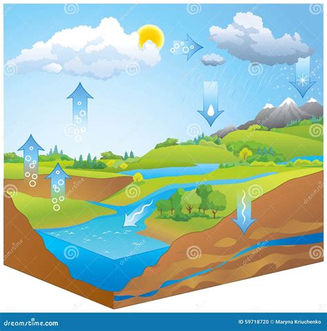 Diagrama Del Ciclo Del Agua Descargar Vectores Gratis Images