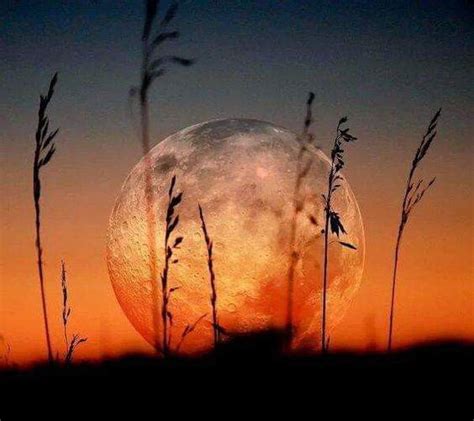 Beautiful Moon Beautiful World Beautiful Images Lovely Gorgeous