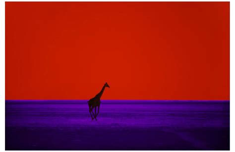 Pete Turner Photographer With An Eye For Color And An Ear For Jazz