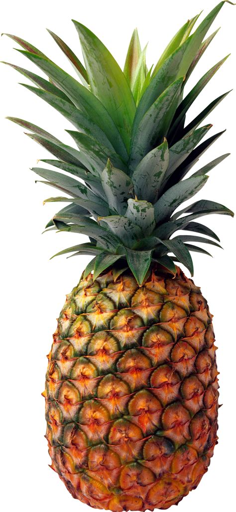 Download Pineapple Png Image For Free